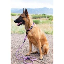 Euro-Dog 6-ft Mountain Blush Climbing Rope Dog Leash, Mountain Blush -PetSafe Kong Shop 641158 PT2. AC SS1800 V1663018495