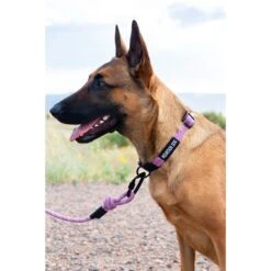 Euro-Dog 6-ft Mountain Blush Climbing Rope Dog Leash, Mountain Blush -PetSafe Kong Shop 641158 PT3. AC SS1800 V1663018918