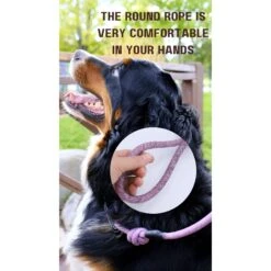 Euro-Dog 6-ft Mountain Blush Climbing Rope Dog Leash, Mountain Blush -PetSafe Kong Shop 641158 PT7. AC SS1800 V1663018137