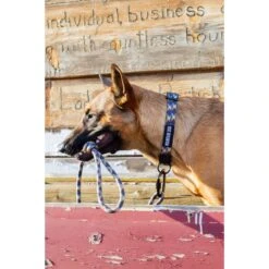 Euro-Dog 6-ft Mountain Argyle Climbing Rope Dog Leash, Mountain Argyle 12 Euro-Dog 6-ft Mountain Argyle Climbing Rope Dog Leash, Mountain Argyle -PetSafe Kong Shop 641174 PT3. AC SS1800 V1663019063