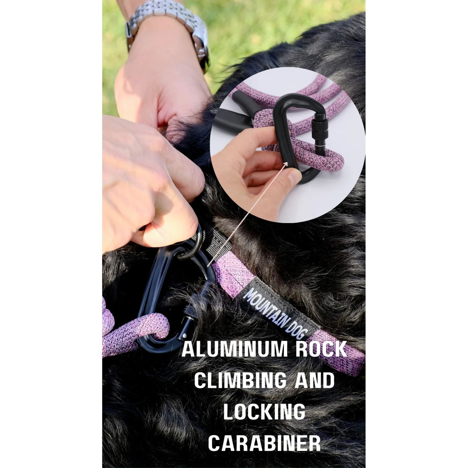 Euro-Dog 6-ft Mountain Argyle Climbing Rope Dog Leash, Mountain Argyle 7 Euro-Dog 6-ft Mountain Argyle Climbing Rope Dog Leash, Mountain Argyle - Image 7