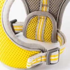 HUGO & HUDSON Mesh Dog Harness -PetSafe Kong Shop 642214 PT3. AC SS1800 V1663714523
