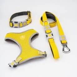 HUGO & HUDSON Mesh Dog Harness -PetSafe Kong Shop 642214 PT8. AC SS1800 V1663711738
