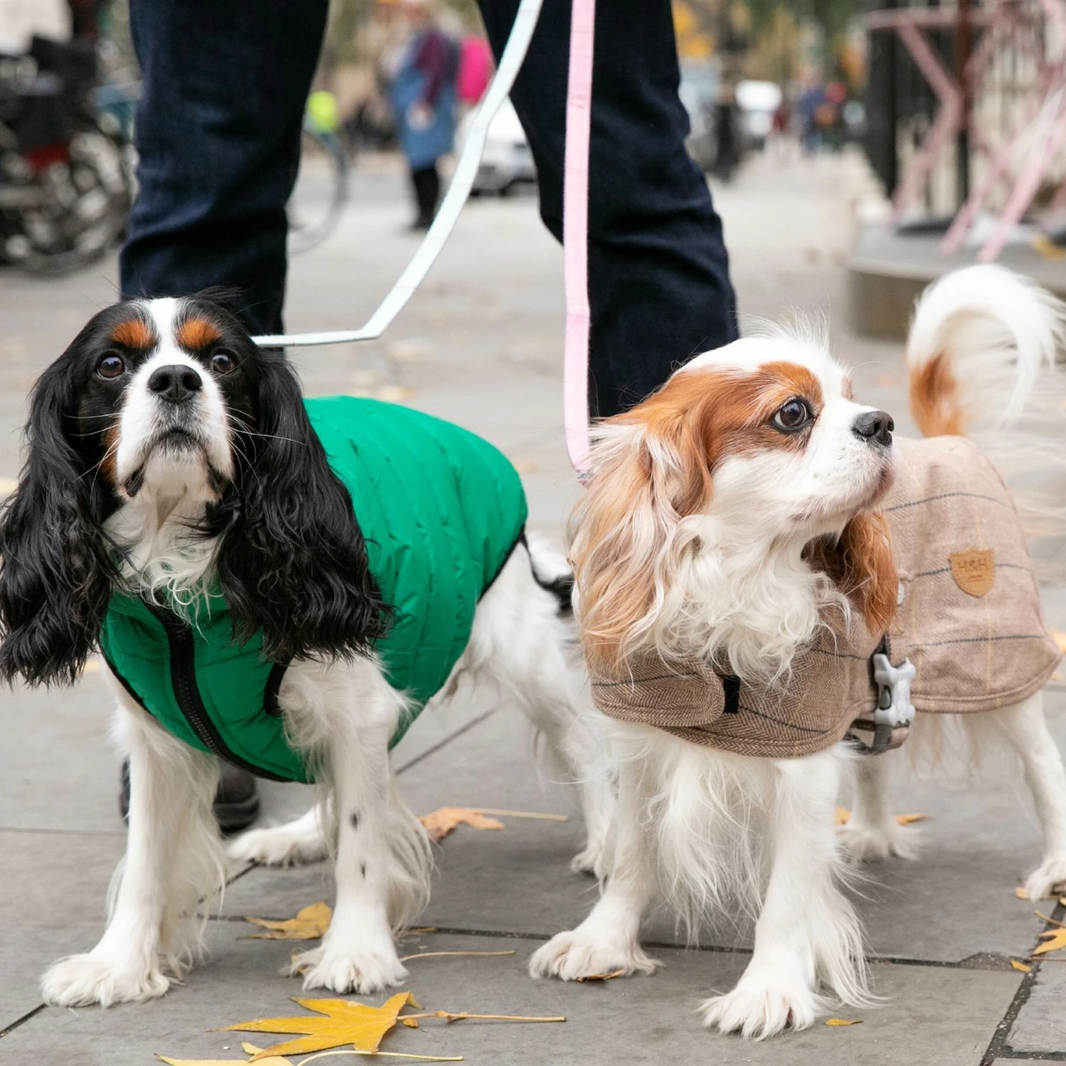 HUGO & HUDSON Checked Tweed Dog Leash 2 HUGO & HUDSON Checked Tweed Dog Leash - Image 2