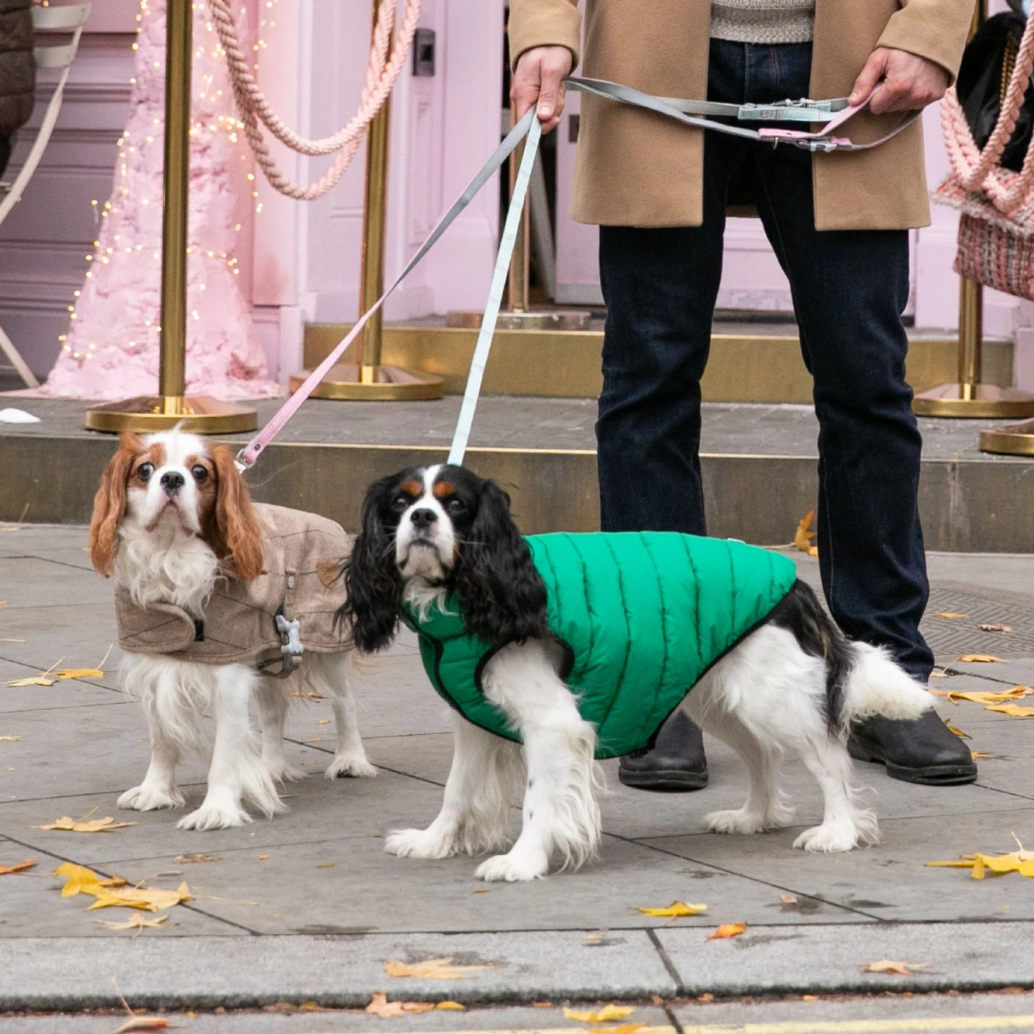 HUGO & HUDSON Checked Tweed Dog Leash 6 HUGO & HUDSON Checked Tweed Dog Leash - Image 6