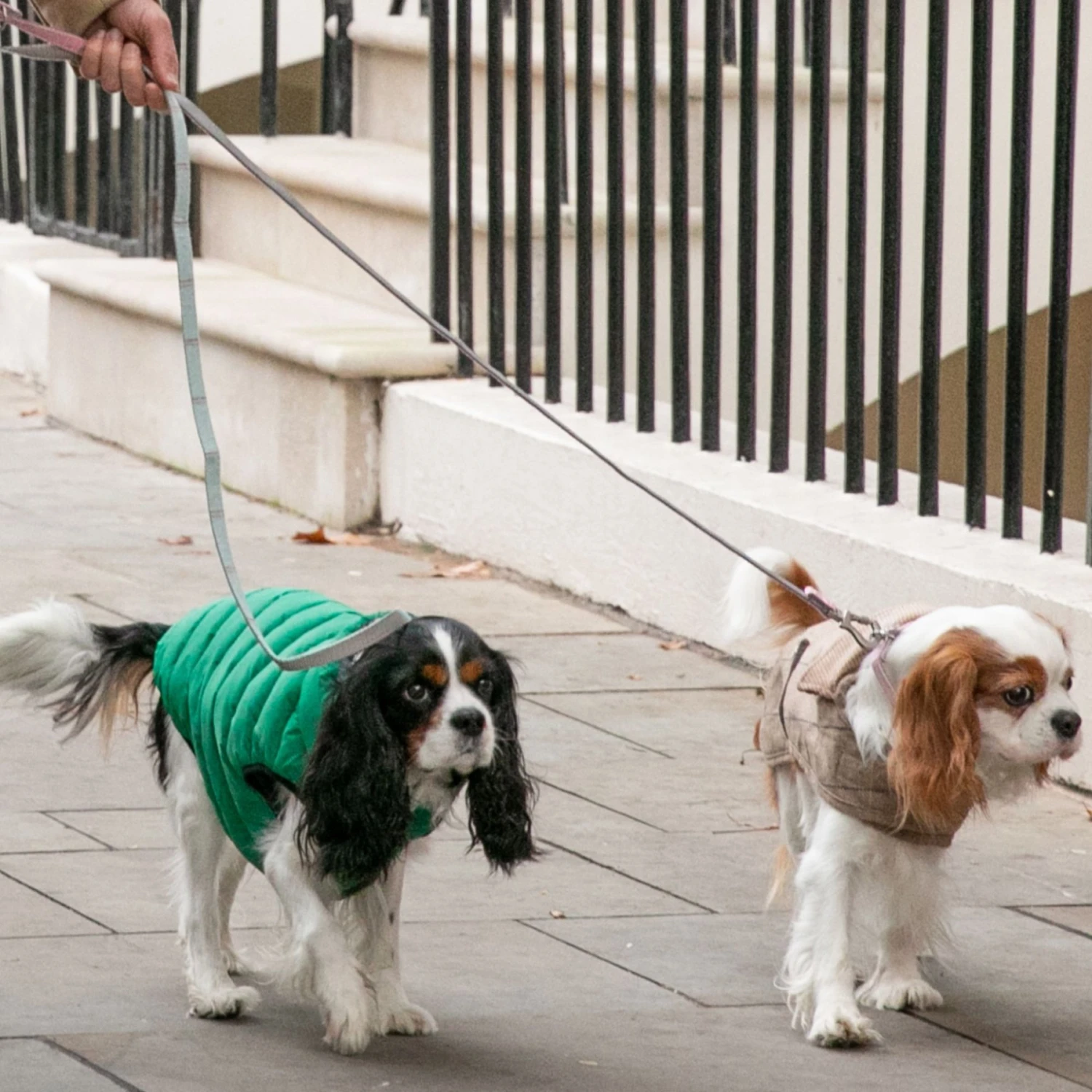 HUGO & HUDSON Checked Tweed Dog Leash 8 HUGO & HUDSON Checked Tweed Dog Leash - Image 8