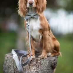 HUGO & HUDSON Herringbone Tweed Dog Leash -PetSafe Kong Shop 644038 PT7. AC SS1800 V1663713361