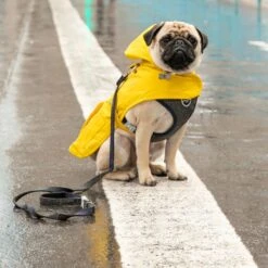 HUGO & HUDSON Checked Herringbone Tweed Dog Leash -PetSafe Kong Shop 644062 PT1. AC SS1800 V1663338085