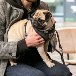 HUGO & HUDSON Checked Herringbone Tweed Dog Leash -PetSafe Kong Shop 644062 PT7. AC SS1800 V1663712465