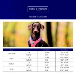 HUGO & HUDSON Printed Dog Harness -PetSafe Kong Shop 644134 PT2. AC SS1800 V1663797404