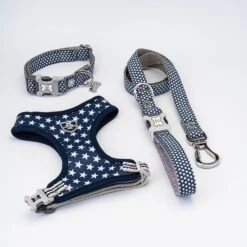 HUGO & HUDSON Printed Dog Harness -PetSafe Kong Shop 644134 PT8. AC SS1800 V1663797350
