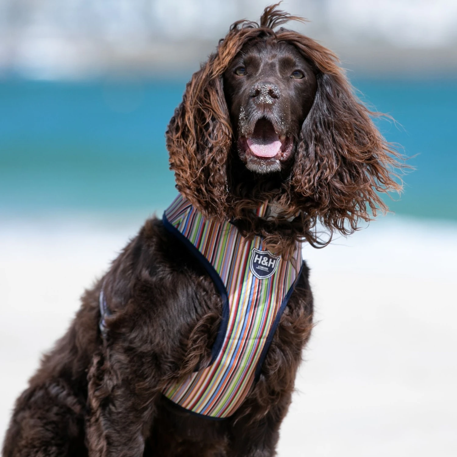 HUGO & HUDSON Striped Printed Dog Harness 8 HUGO & HUDSON Striped Printed Dog Harness - Image 8