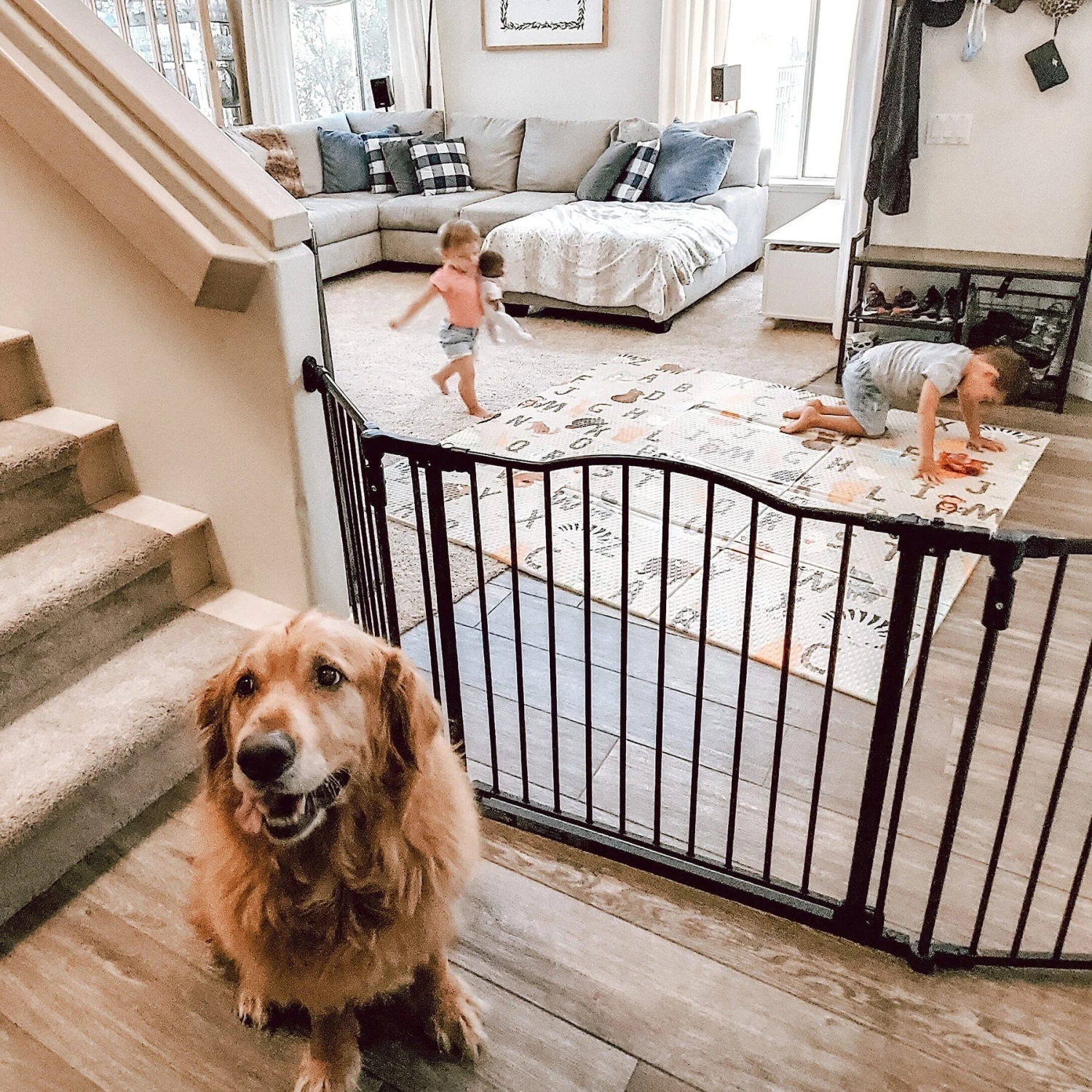 MyPet Windsor Extra Wide Arch Pet Gate For Dogs & Cats 2 MyPet Windsor Extra Wide Arch Pet Gate For Dogs & Cats - Image 2