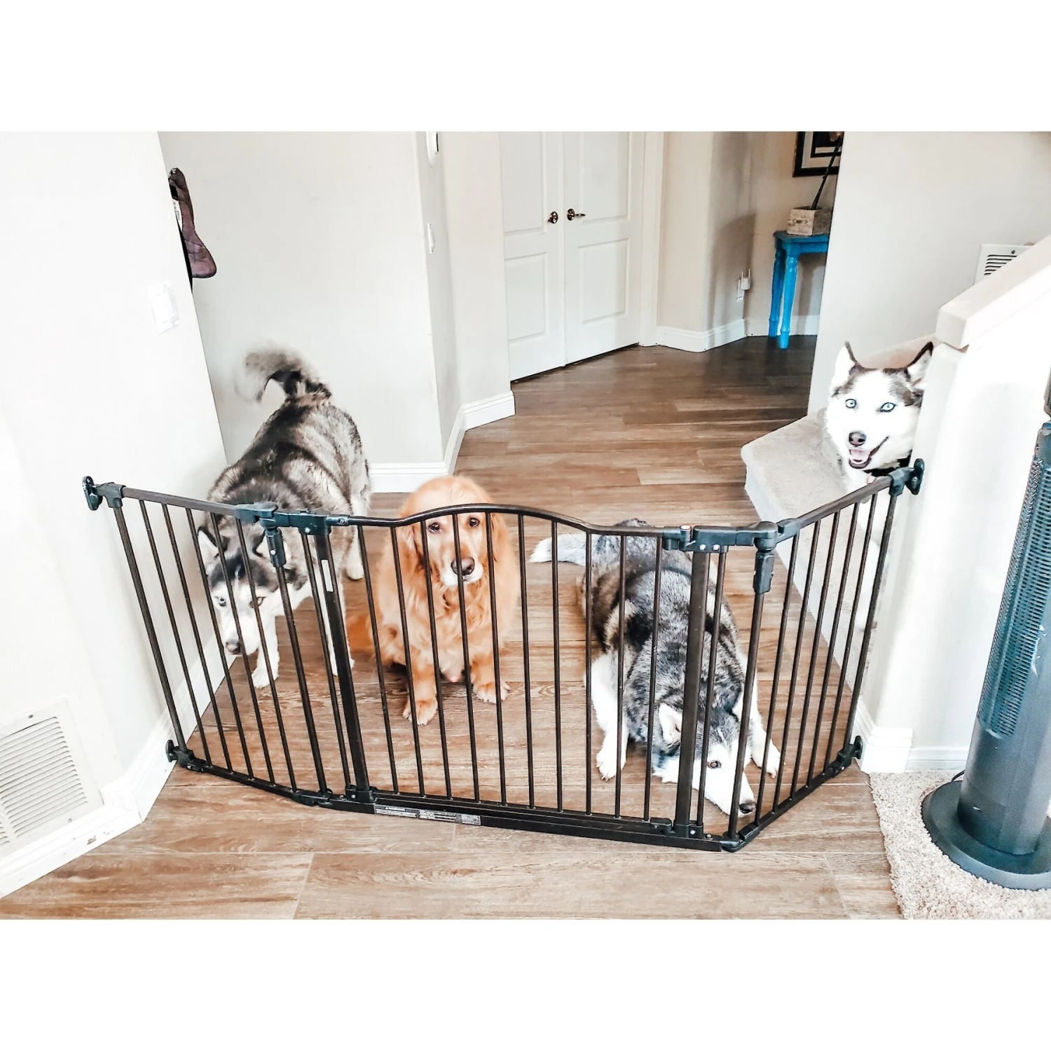 MyPet Windsor Extra Wide Arch Pet Gate For Dogs & Cats 3 MyPet Windsor Extra Wide Arch Pet Gate For Dogs & Cats - Image 3