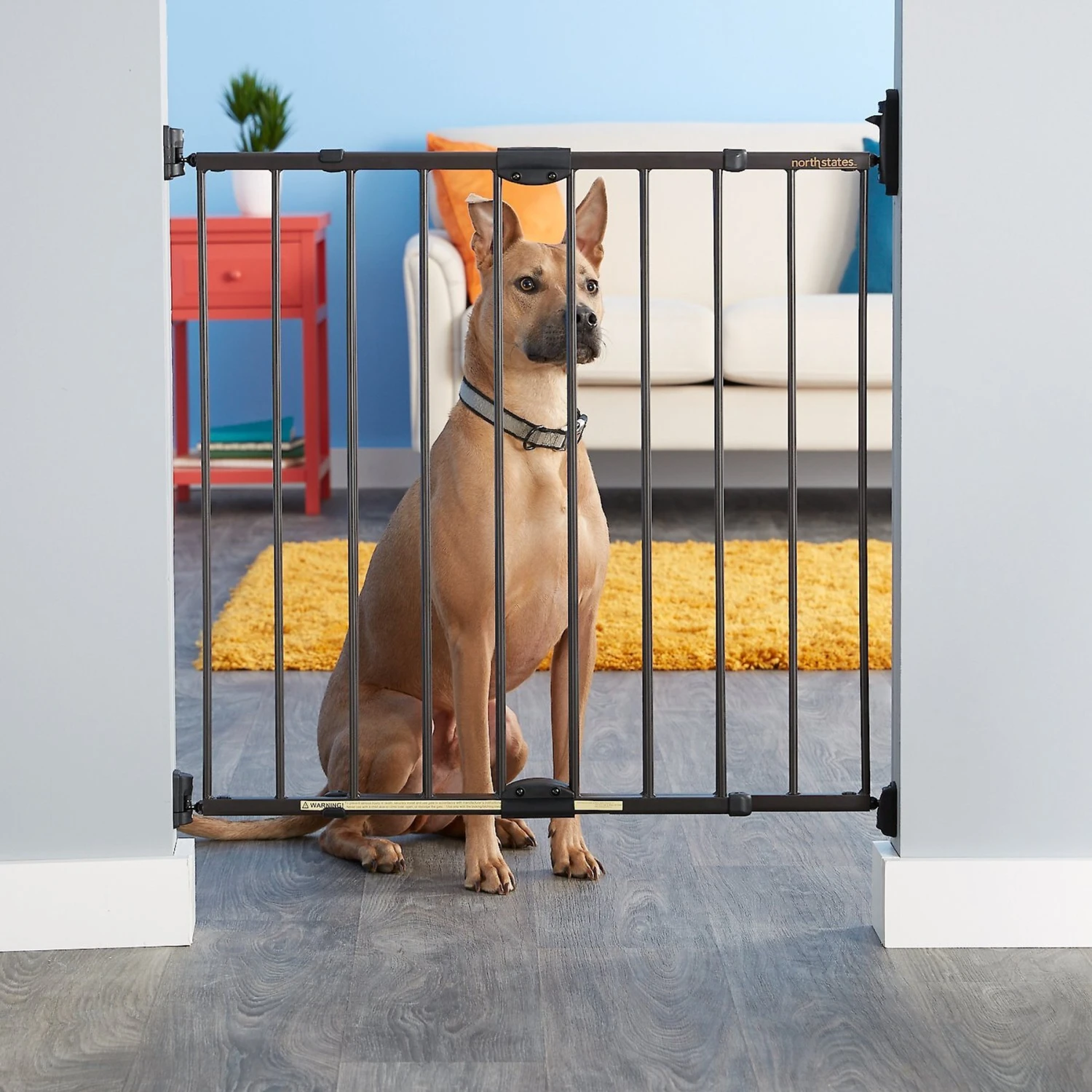 MyPet Windsor Walk Thru Swing Gate For Dogs & Cats 1 MyPet Windsor Walk Thru Swing Gate For Dogs & Cats