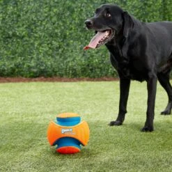 Chuckit! Kick Fetch Ball Dog Toy -PetSafe Kong Shop 64758 PT2. AC SS1800 V1543519057