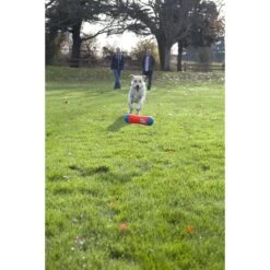 Chuckit! Tumble Bumper Dog Toy 8 Chuckit! Tumble Bumper Dog Toy -PetSafe Kong Shop 64767 PT3. AC SS1800 V1530190351