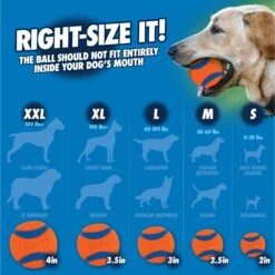 Chuckit! Pro Launcher Dog Toy, Color Varies -PetSafe Kong Shop 64777 PT7. AC SS1800 V1530212937