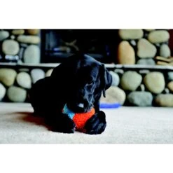 Chuckit! Indoor Shaker Dog Toy -PetSafe Kong Shop 64798 PT3. AC SS1800 V1530911365