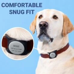 GoTags Engraved AirTag Dog & Cat Collar Holder 11 GoTags Engraved AirTag Dog & Cat Collar Holder -PetSafe Kong Shop 648022 PT4. AC SS1800 V1663710709