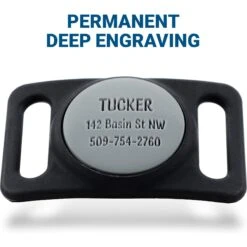 GoTags Engraved AirTag Dog & Cat Collar Holder 13 GoTags Engraved AirTag Dog & Cat Collar Holder -PetSafe Kong Shop 648022 PT6. AC SS1800 V1663712816