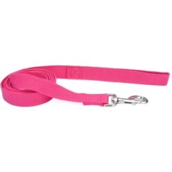 New Earth Soy Dog Leash