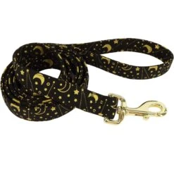 Accent Fashion Metallic Dog Leash