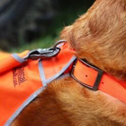 Water & Woods Reflective Dog Safety Vest -PetSafe Kong Shop 650510 PT1. AC SS1800 V1664975306