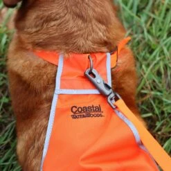 Water & Woods Reflective Dog Safety Vest -PetSafe Kong Shop 650510 PT5. AC SS1800 V1664985121