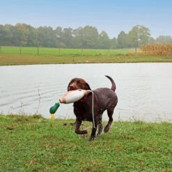 Water & Woods Tethered-Head Foam Fowl Dog Trainer -PetSafe Kong Shop 650566 PT3. AC SS1800 V1664920205
