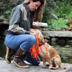 Water & Woods Nylon Dog Check Cord 8 Water & Woods Nylon Dog Check Cord -PetSafe Kong Shop 650790 PT2. AC SS1800 V1664919048