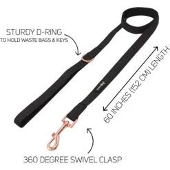 Sassy Woof Fabric Dog Leash -PetSafe Kong Shop 652238 PT2. AC SS1800 V1663880477