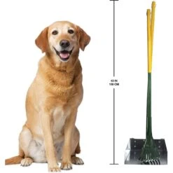 Wee-Wee Outdoor Rake, Spade & Pan Set -PetSafe Kong Shop 65306 PT3. AC SS1800 V1657661014