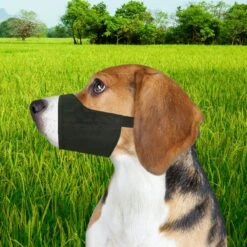Four Paws Walk-About Quick-Fit Dog Muzzle 13 Four Paws Walk-About Quick-Fit Dog Muzzle -PetSafe Kong Shop 65318 PT5. AC SS1800 V1624394307