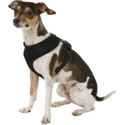 Four Paws Comfort Control Dog Harness -PetSafe Kong Shop 65328 PT2. AC SS1800 V1575414599