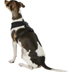 Four Paws Comfort Control Dog Harness -PetSafe Kong Shop 65328 PT3. AC SS1800 V1575419331