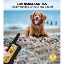 GroovyPets 650 Yard Auto Anti-bark Remote Dog Training Shock Collar, Black -PetSafe Kong Shop 654750 PT7. AC SS1800 V1675105207