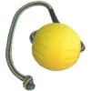 Starmark Swing 'n Fling DuraFoam Ball Dog Toy