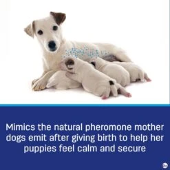 Adaptil On-the-Go Calming Collar For Dogs & Adaptil Calming Diffuser Refill For Dogs 13 Adaptil On-the-Go Calming Collar For Dogs & Adaptil Calming Diffuser Refill For Dogs -PetSafe Kong Shop 657006 PT4. AC SS1800 V1665779787