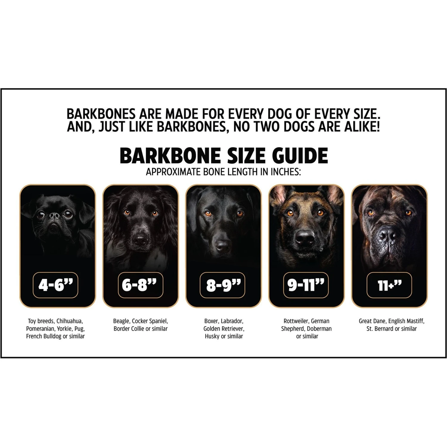 Pet Qwerks BarkBone Zombie Nylon Chew Dog Toy 5 Pet Qwerks BarkBone Zombie Nylon Chew Dog Toy - Image 5