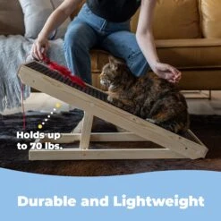 Alpha Paw ScratchyRamp Cat Ramp -PetSafe Kong Shop 660622 PT2. AC SS1800 V1664834687