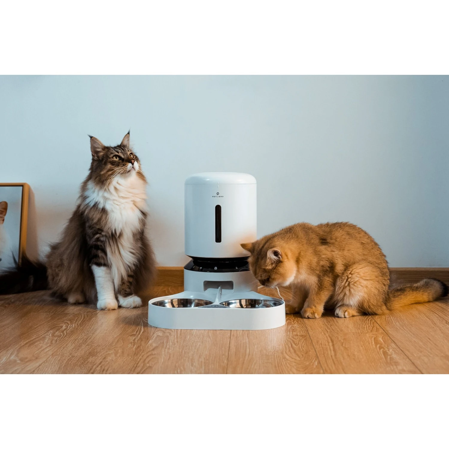 Petlibro Granary Automatic Two Cat & Dog Feeder, 5L 9 Petlibro Granary Automatic Two Cat & Dog Feeder, 5L - Image 9