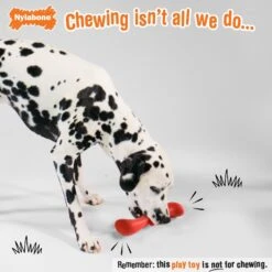 Nylabone Creative Play Stik-GO Interactive Dog Toy, Red -PetSafe Kong Shop 665702 PT2. AC SS1800 V1679081895