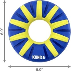 KONG Goodiez Ring Dog Toy, Blue, Medium -PetSafe Kong Shop 666438 PT1. AC SS1800 V1666386136