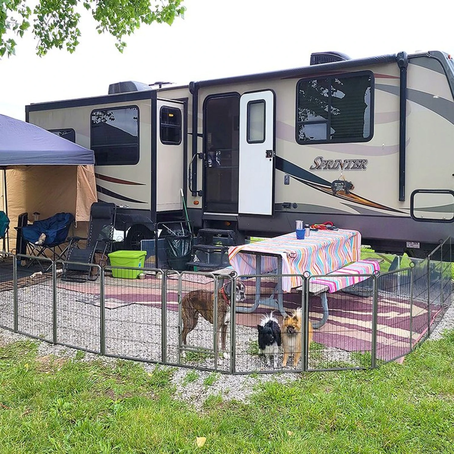 Aivituvin AIR51 Exercise Outdoor & Indoor Portable Dog Playpen, Large 5 Aivituvin AIR51 Exercise Outdoor & Indoor Portable Dog Playpen, Large - Image 5