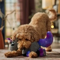 Frisco Halloween Midnight Unicorn Plush Squeaky Dog Toy -PetSafe Kong Shop 667958 PT3. AC SS1800 V1689350103