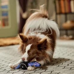 Frisco Halloween Bat Fetch Squeaky Tennis Ball Dog Toy -PetSafe Kong Shop 668278 PT3. AC SS1800 V1689350166