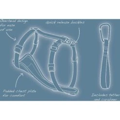 Kurgo Tru-Fit Smart Harness With Plastic Quick Release Buckles -PetSafe Kong Shop 66859 PT4. AC SS1800 V1483718464