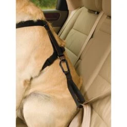 Kurgo Tru-Fit Smart Harness With Plastic Quick Release Buckles -PetSafe Kong Shop 66859 PT5. AC SS1800 V1483718467