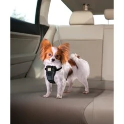 Kurgo Tru-Fit Smart Harness With Plastic Quick Release Buckles -PetSafe Kong Shop 66859 PT6. AC SS1800 V1483718469